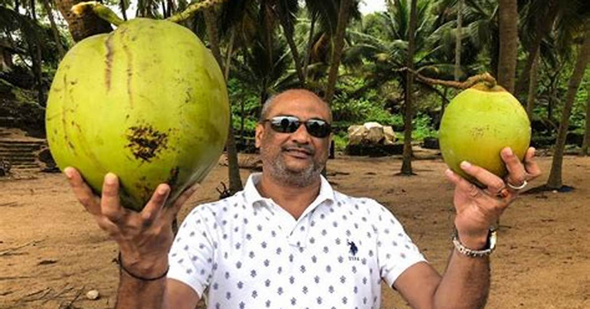 How Big Can a Coconut Get