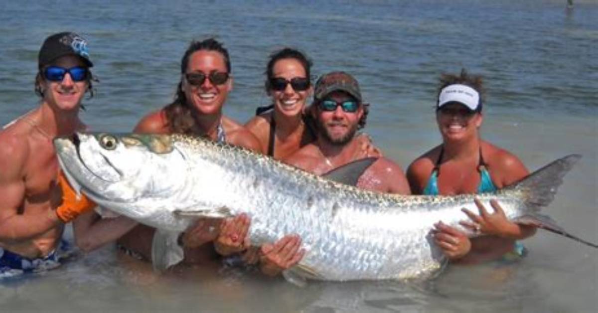 How Big Do Tarpon Get?