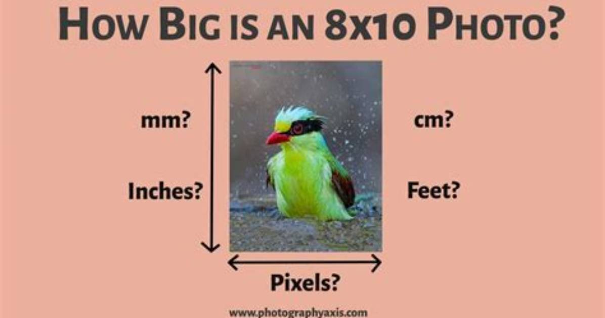 How Big Is 8×10 Picture