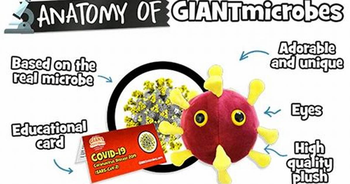 How Big Is a Microbe