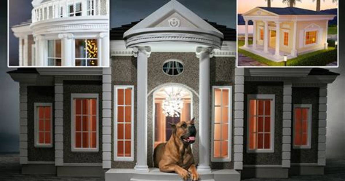 How Big Is Aarons House