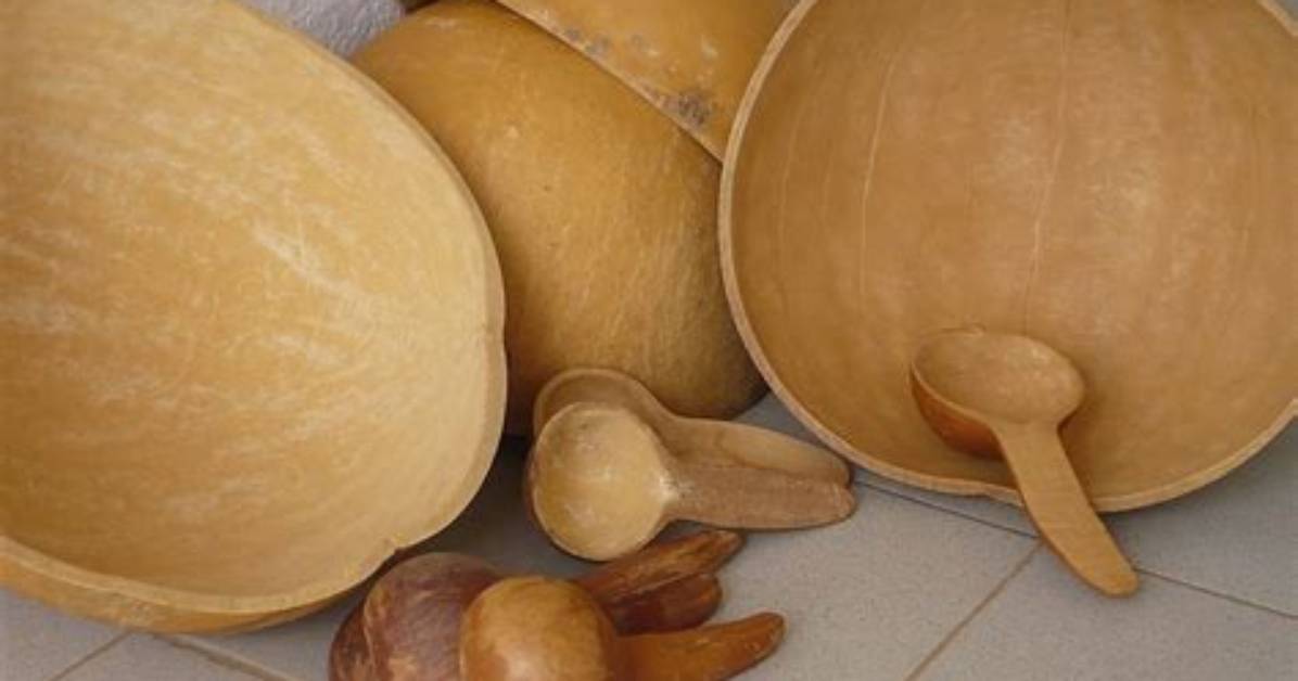 How Calabash Is Made?