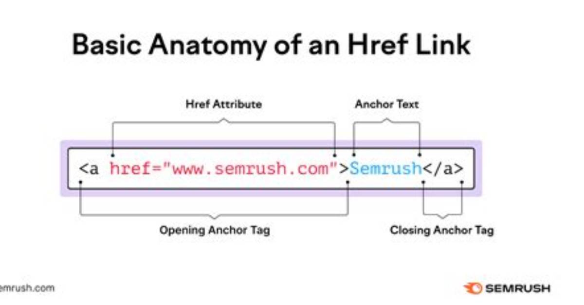 How Can I Add "Href" Attribute to a Link Dynamically Using Javascript?