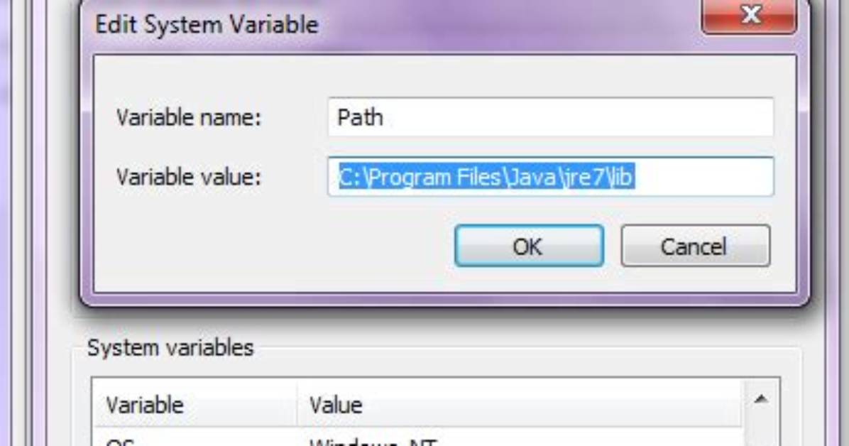 How Can I Get System Variable Value in Java?