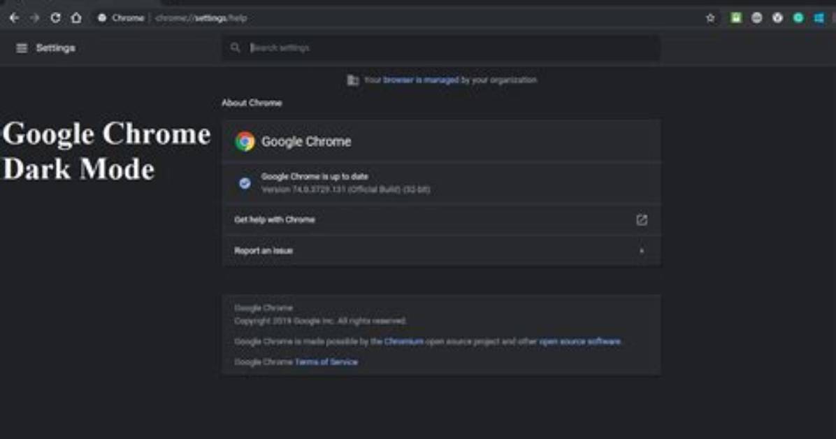 How Can I Set Dark Mode in Code: :Blocks 17.12?