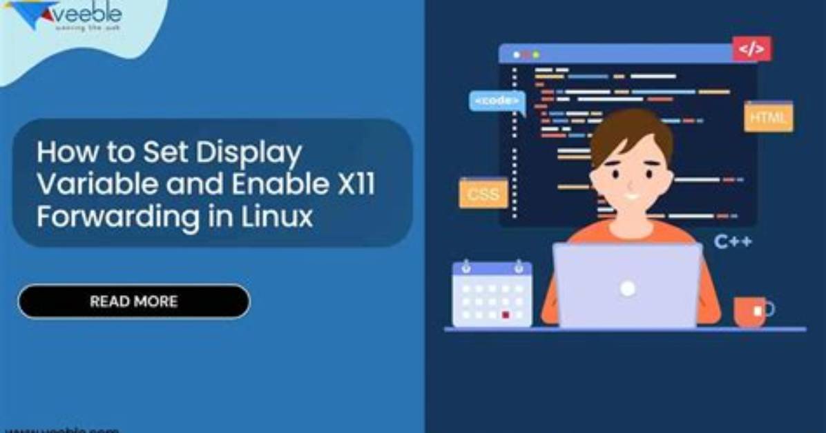 How Check Display Variable Is Set in Linux?