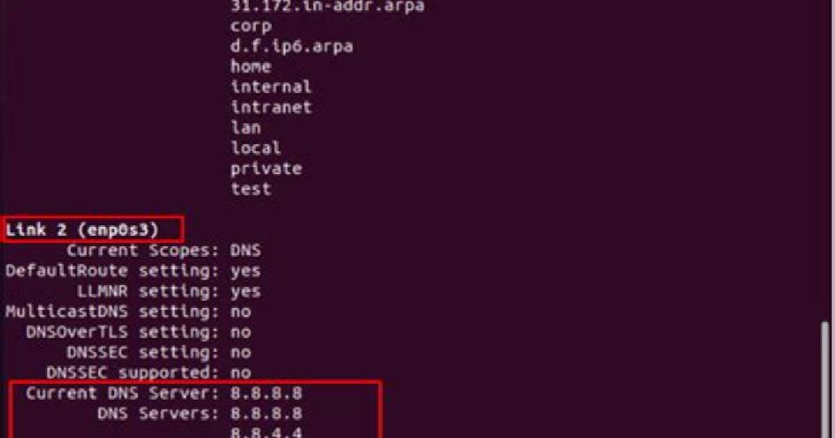 How Check Dns Connection Linux?