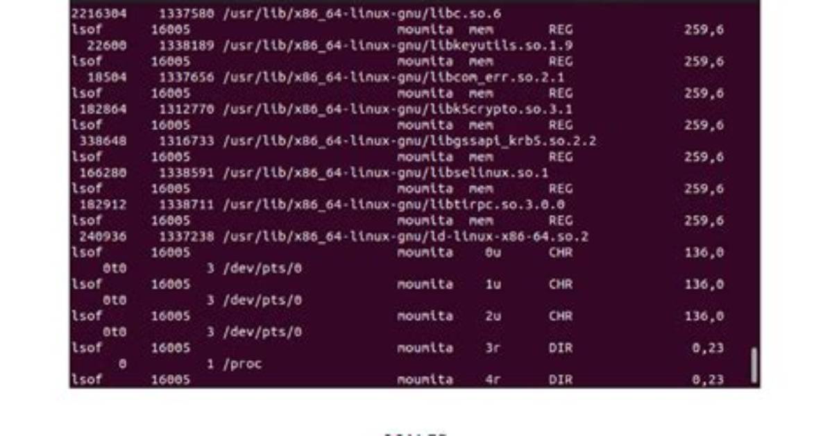 How Check Lsof Linux?