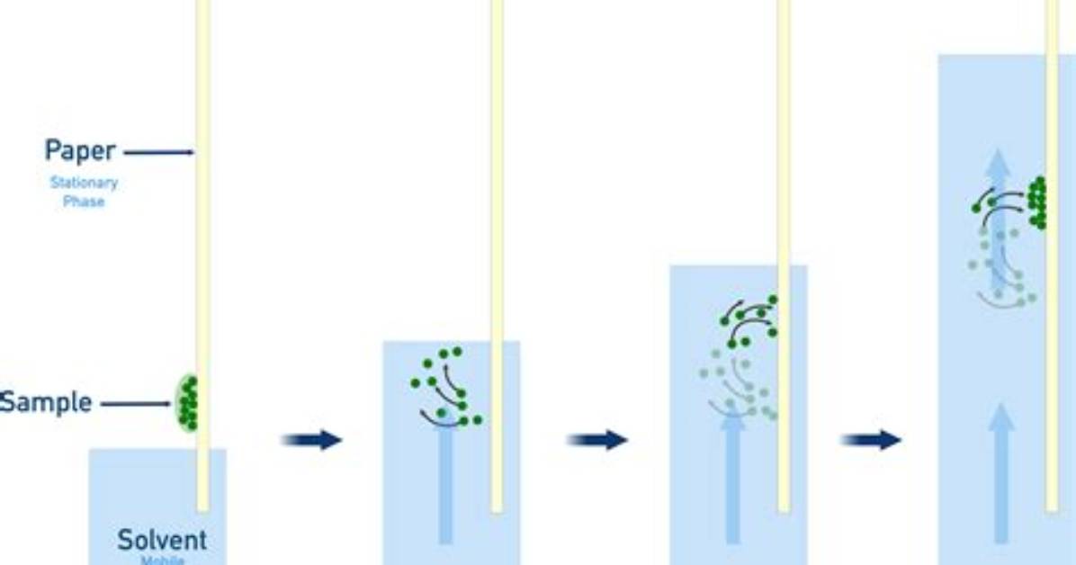 How Chromatography Separates Substances?