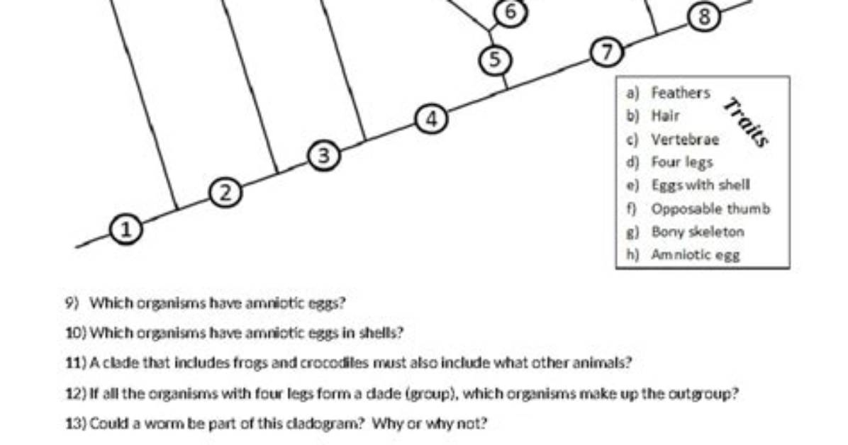 How Cladograms Are Constructed?
