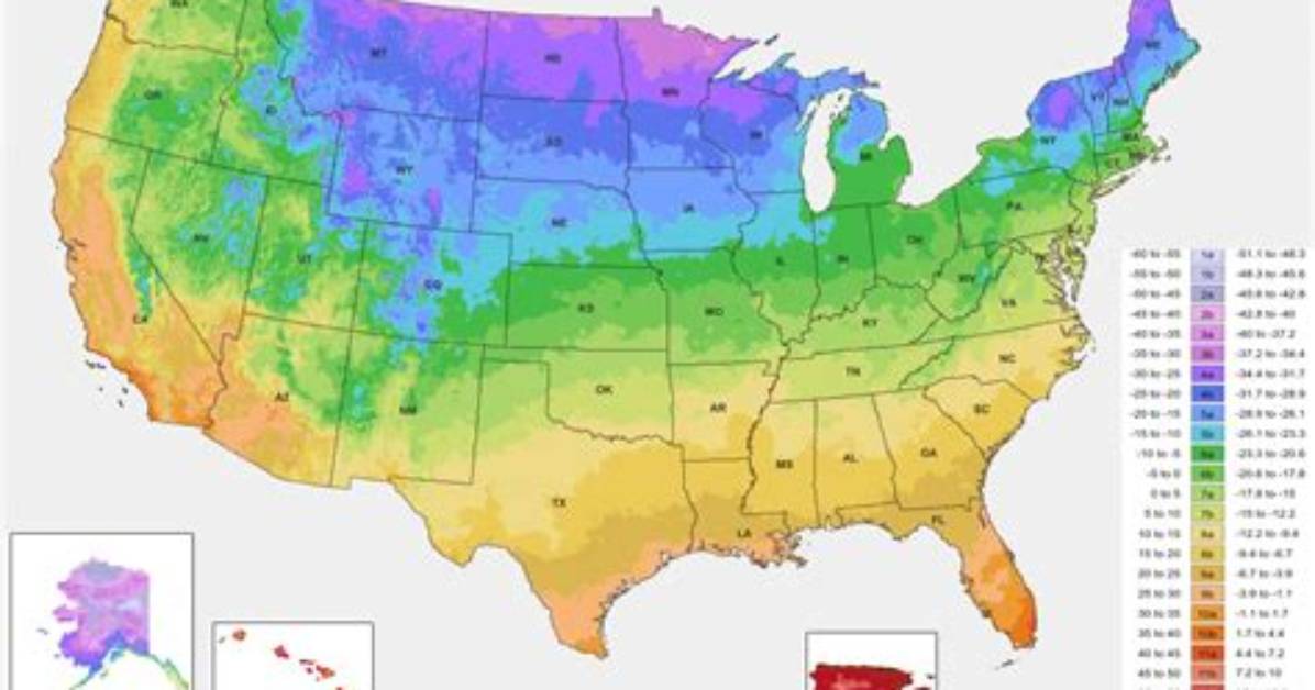How Cold Does Zone 6 Get