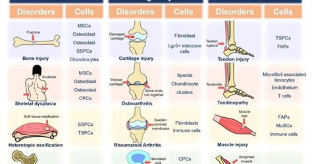How Common Pathologies Affect the Composition of Urine?