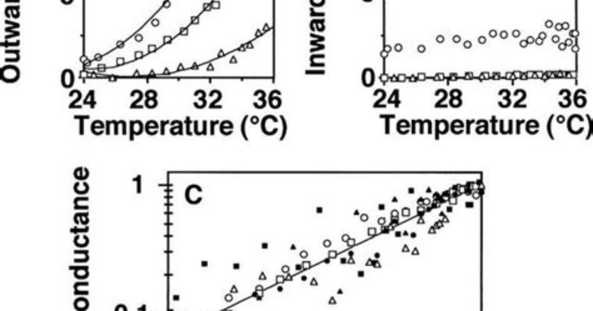 How Conductance Is Affected by Temperature?