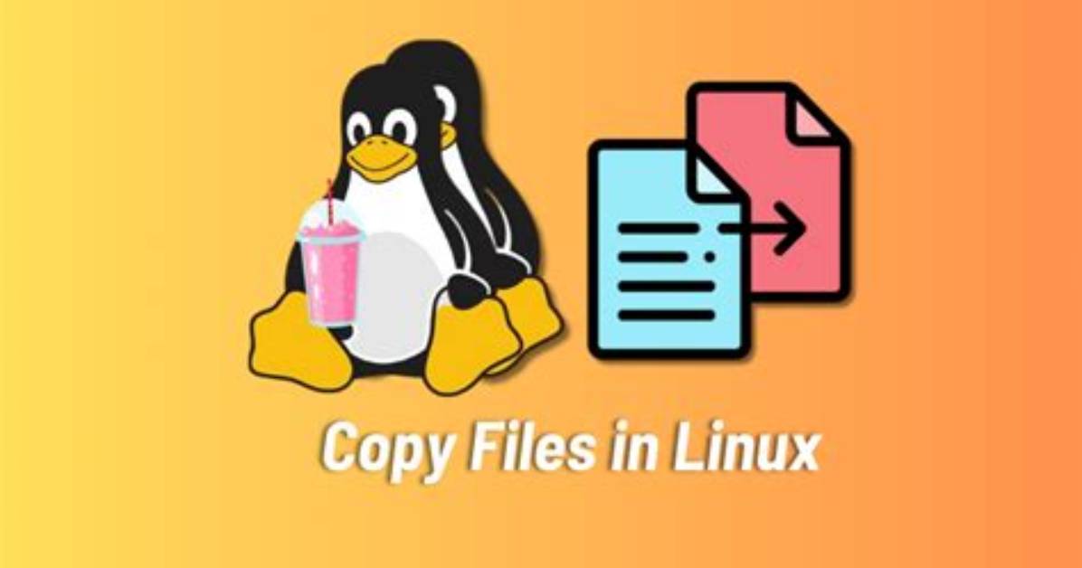 How Copy All Files in Linux?