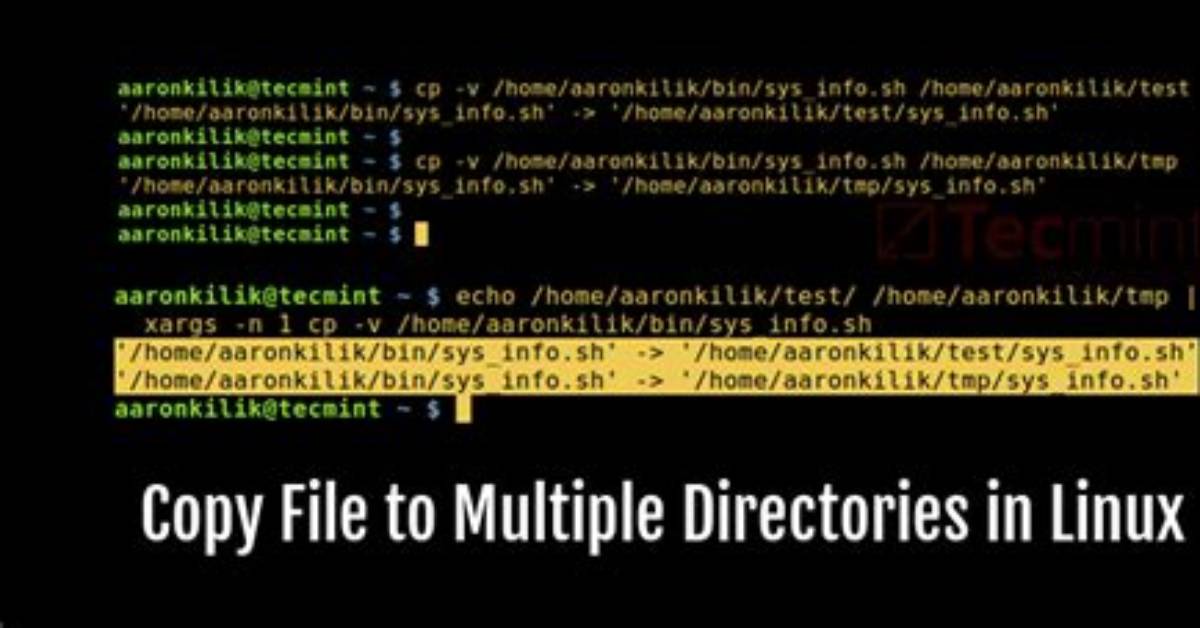How Copy File with Space in Linux?