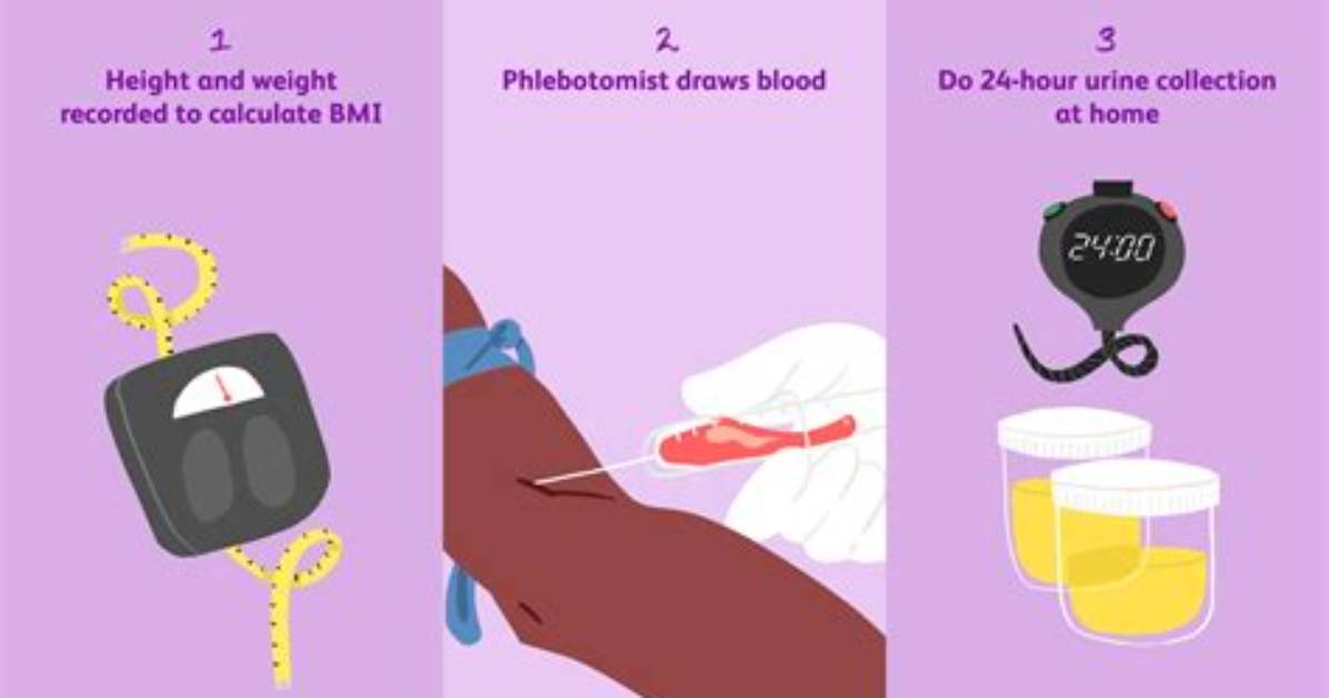 How Creatinine Test Is Done?