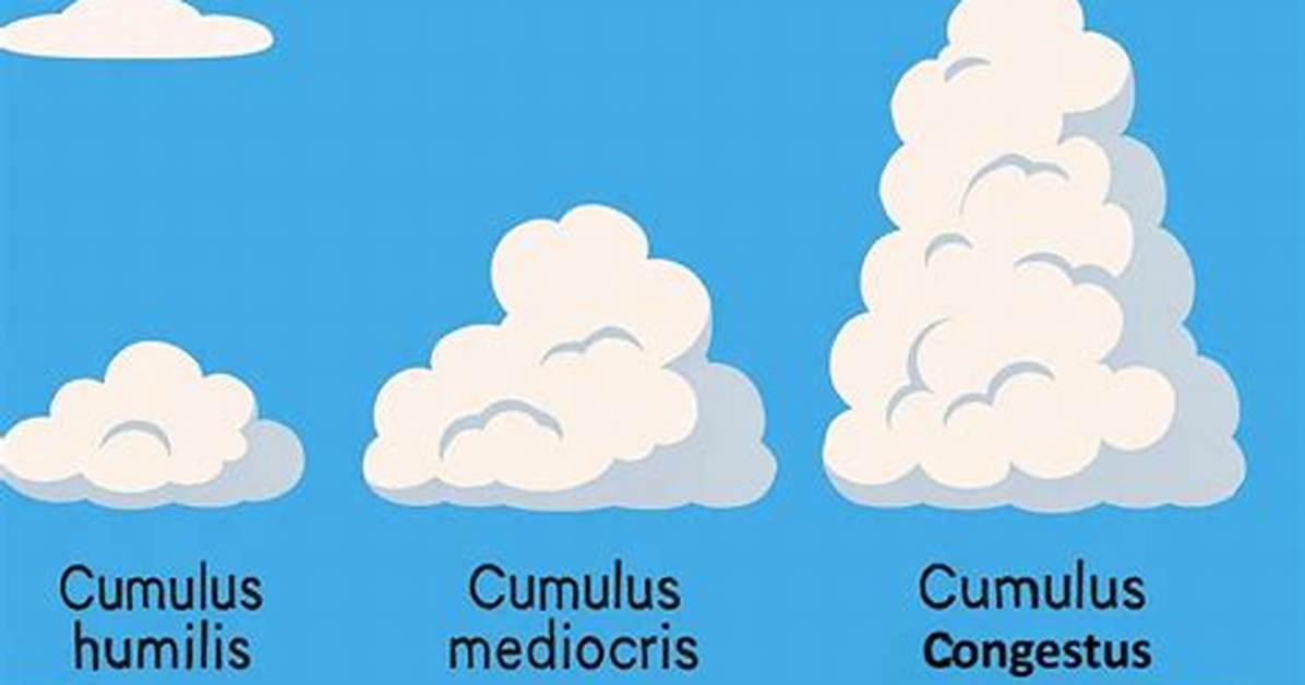 How Cumulus Clouds Form?