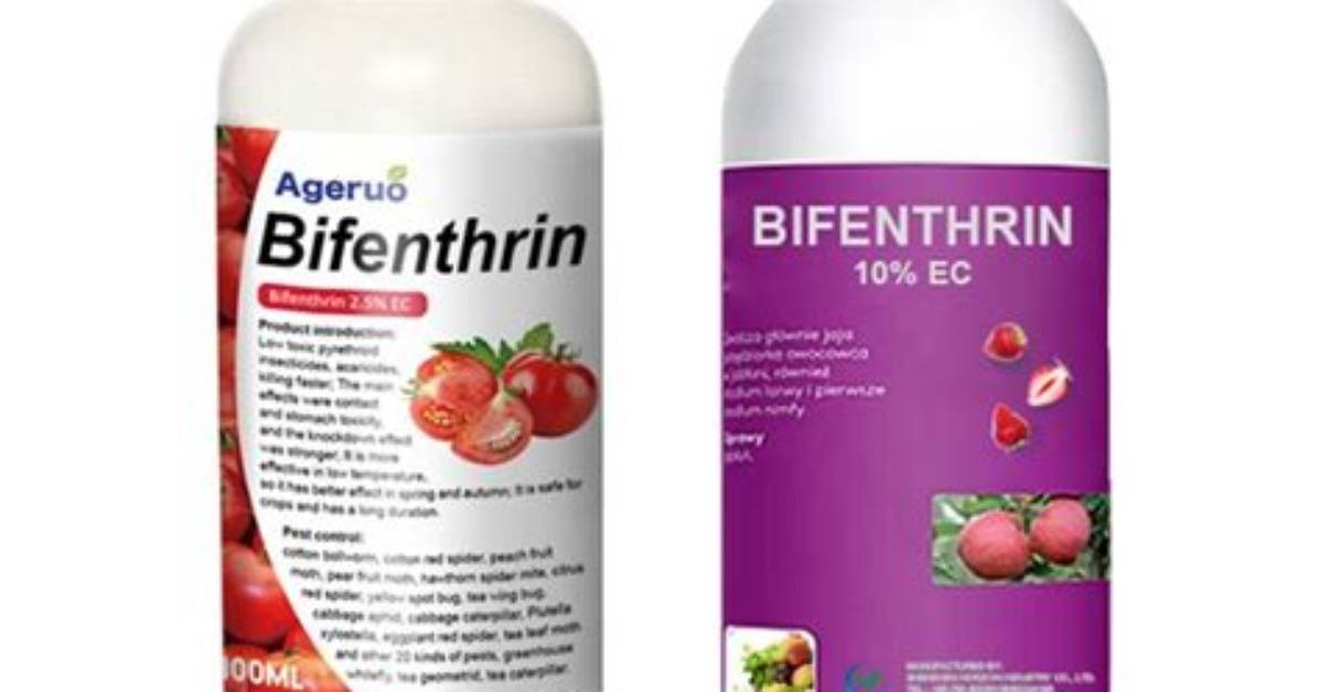 How Dangerous Is Bifenthrin
