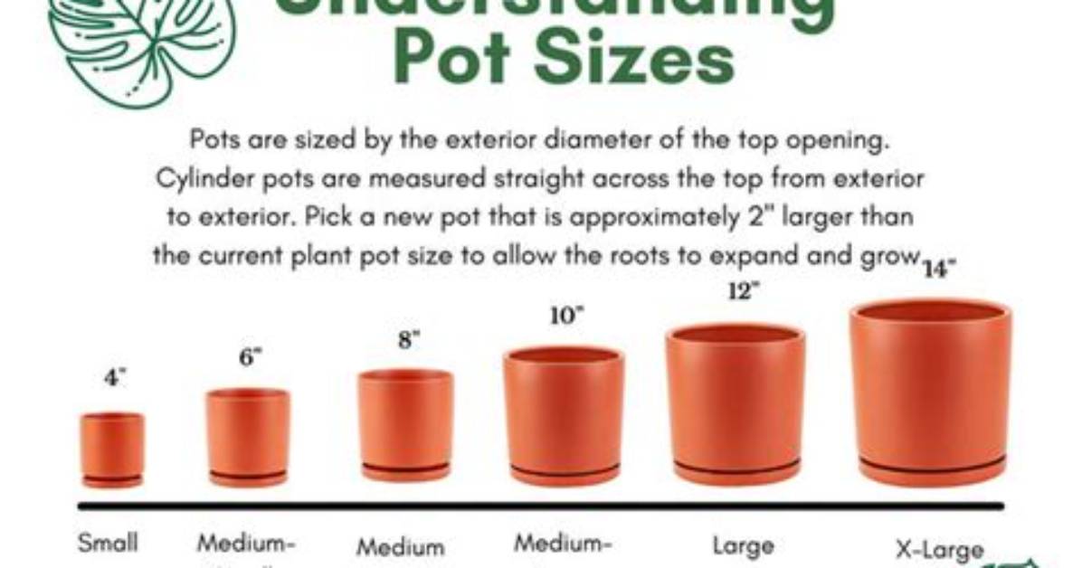 How Deep Should a Pot Be for Peas
