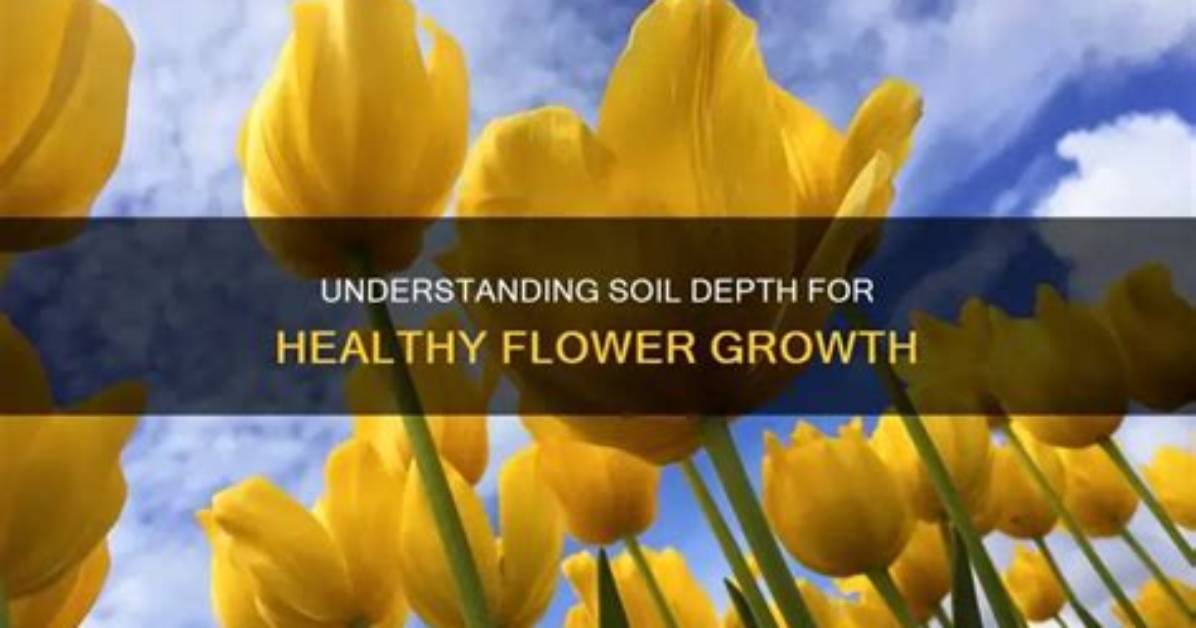 How Deep Should Soil Be for Flowers