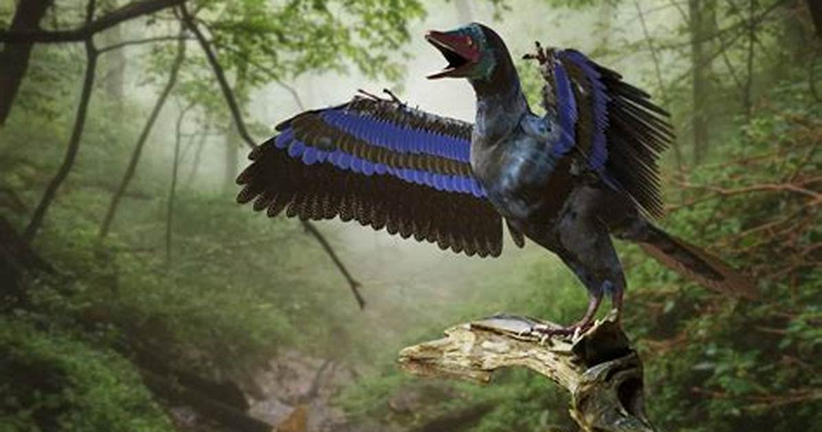 How Did Archaeopteryx Become Extinct?