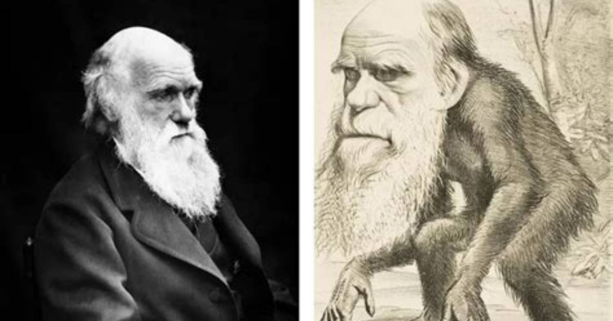 How Did Darwin Die - Lisbd-Net. Com