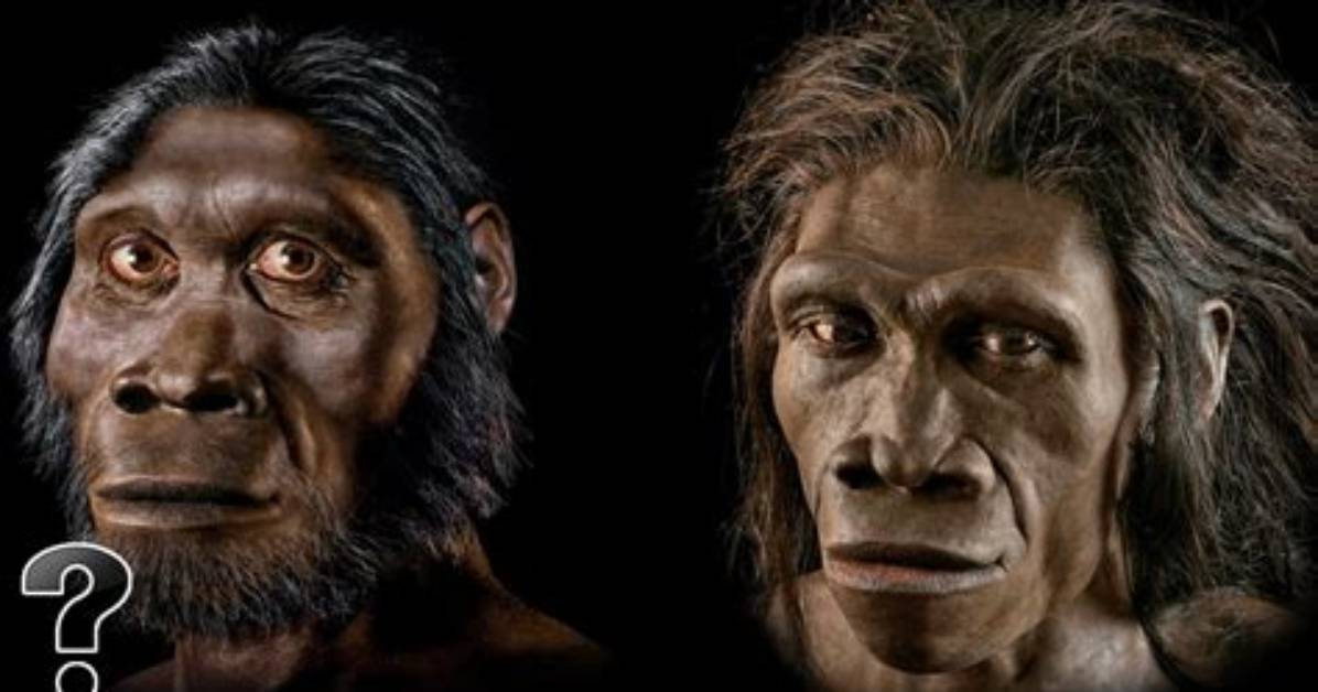 How Did Humans Evolve from Apes?