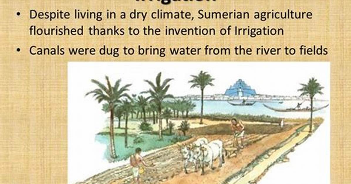 How Did Irrigation Affect Sumer