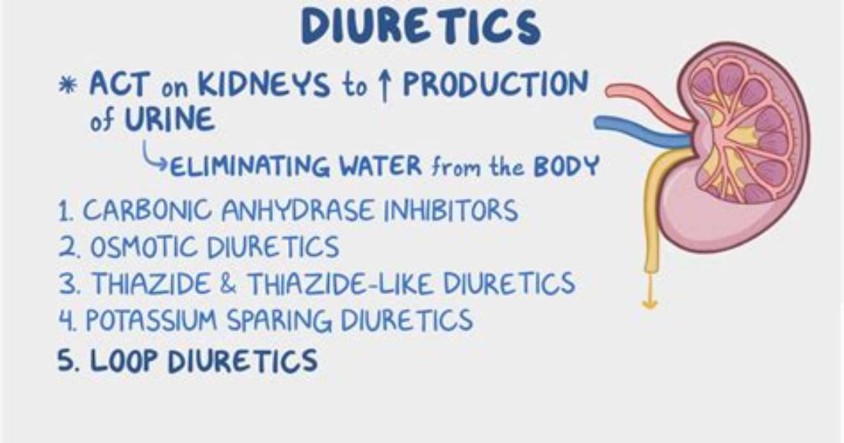 How Diuretics Work in the Body?