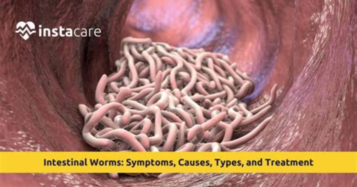 How Do Adults Get Worms?