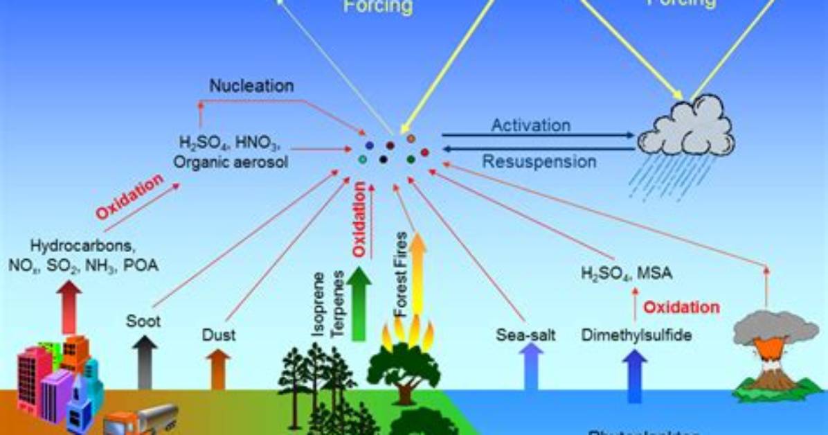 How Do Aerosols Affect the Environment