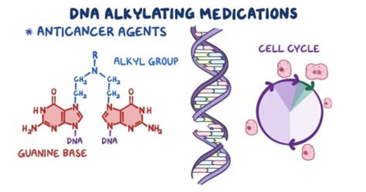 How Do Alkylating Agents Cause Cancer