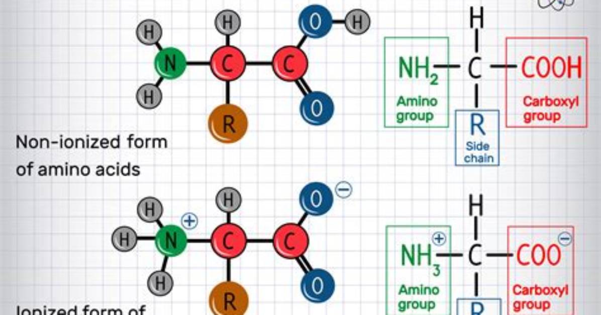 How Do Amino Acids Form