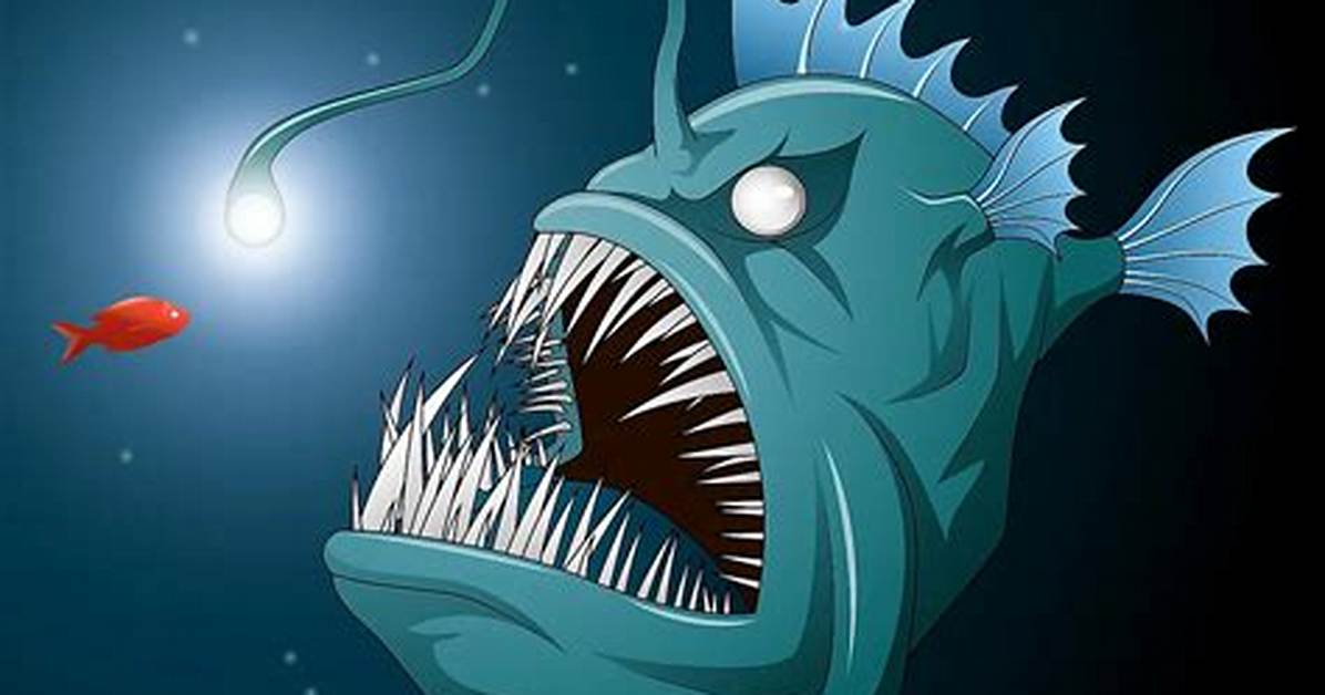 How Do Angler Fish Catch Their Prey