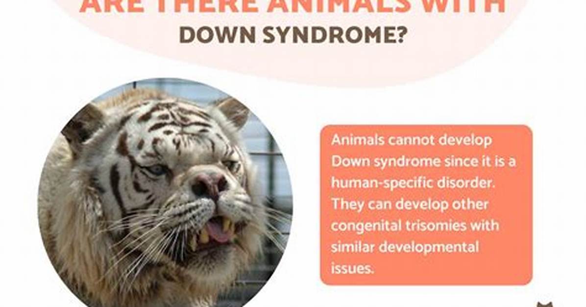How Do Animals Get Down Syndrome