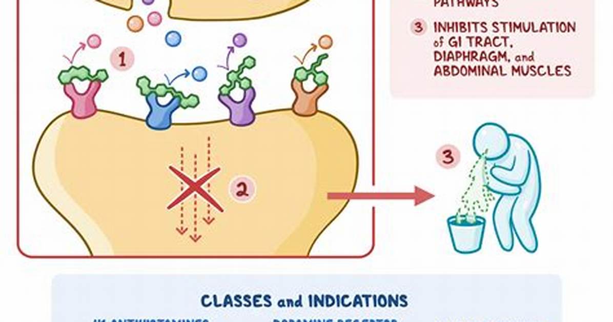 How Do Antiemetics Work