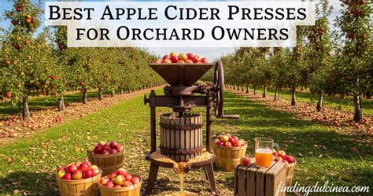 How Do Apple Presses Work