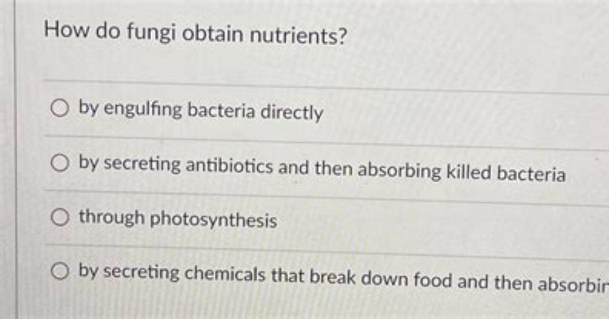 How Do Bacteria Obtain Nutrients