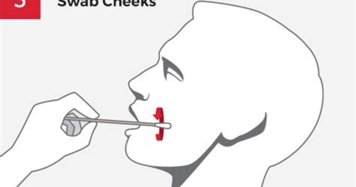 How Do Buccal Swabs Work