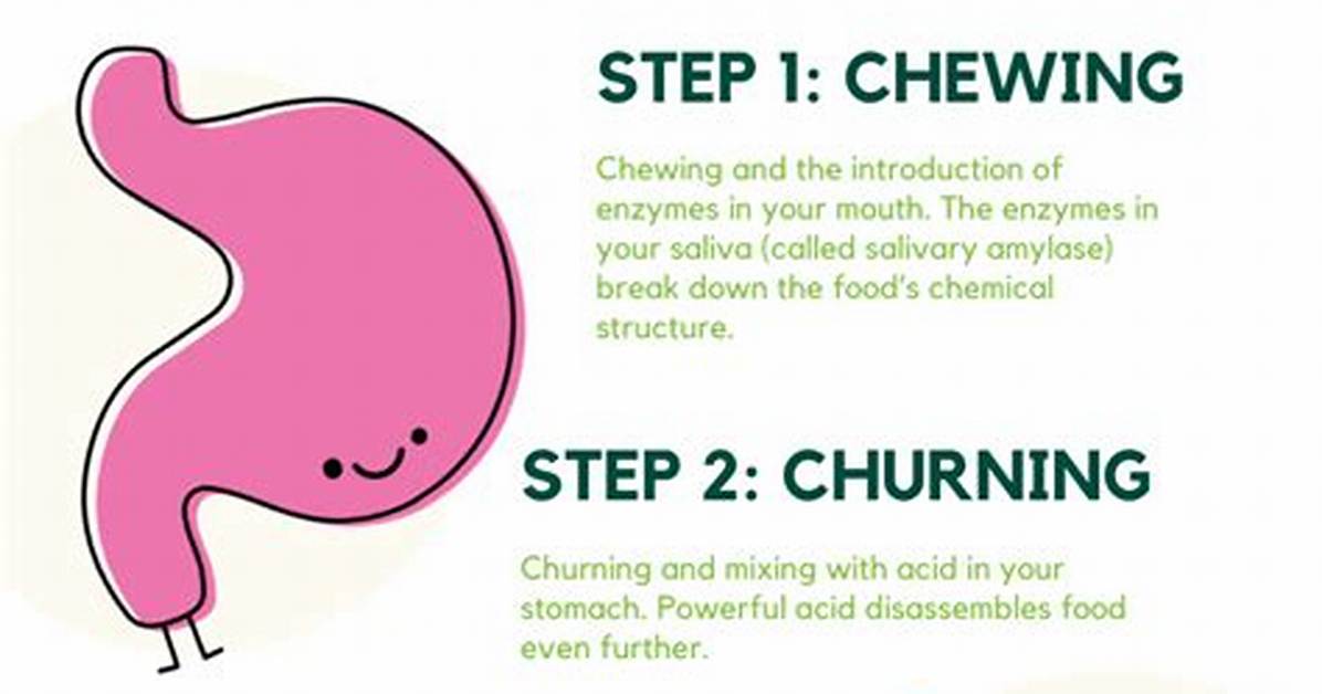 How Do Cells Take in Nutrients for Growth and Development
