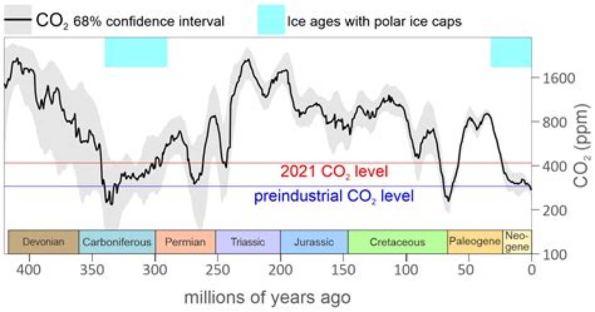 How Do Co2 Levels Vary During the Year