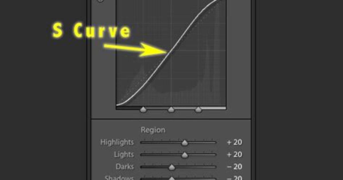 How Do Curves Work in Lightroom?