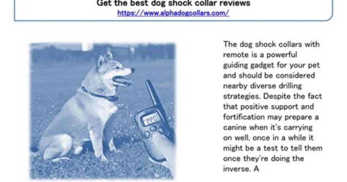 How Do Dog E Collars Work?