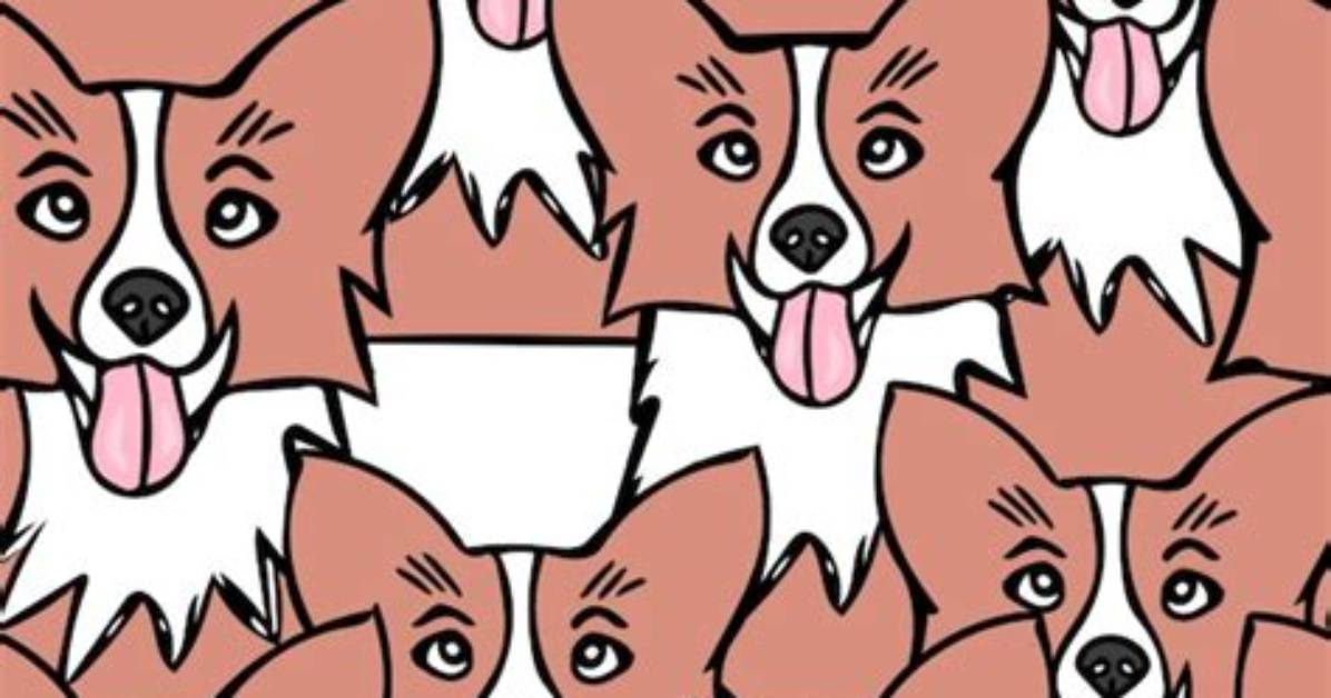 How Do Dogs Get Their Patterns