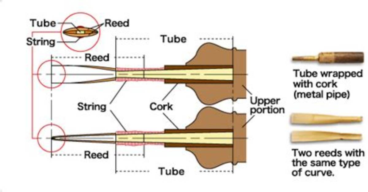How Do Double Reeds Work?