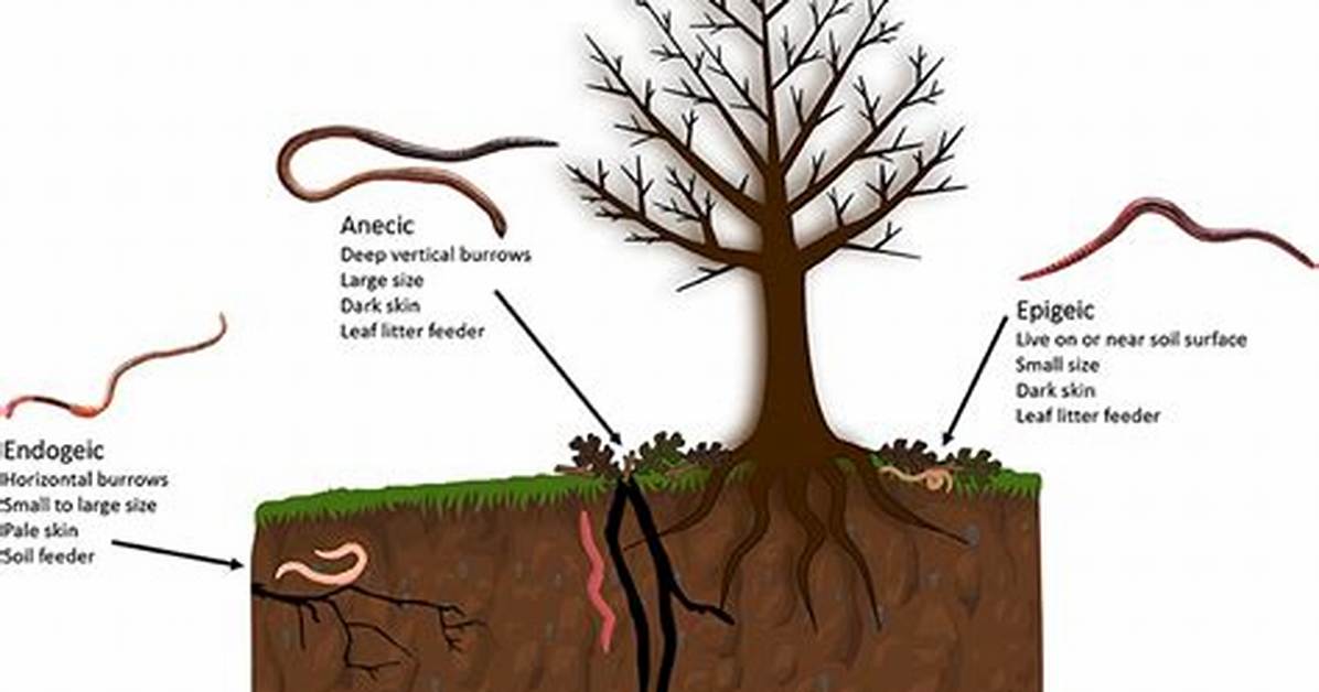 How Do Earthworms Work
