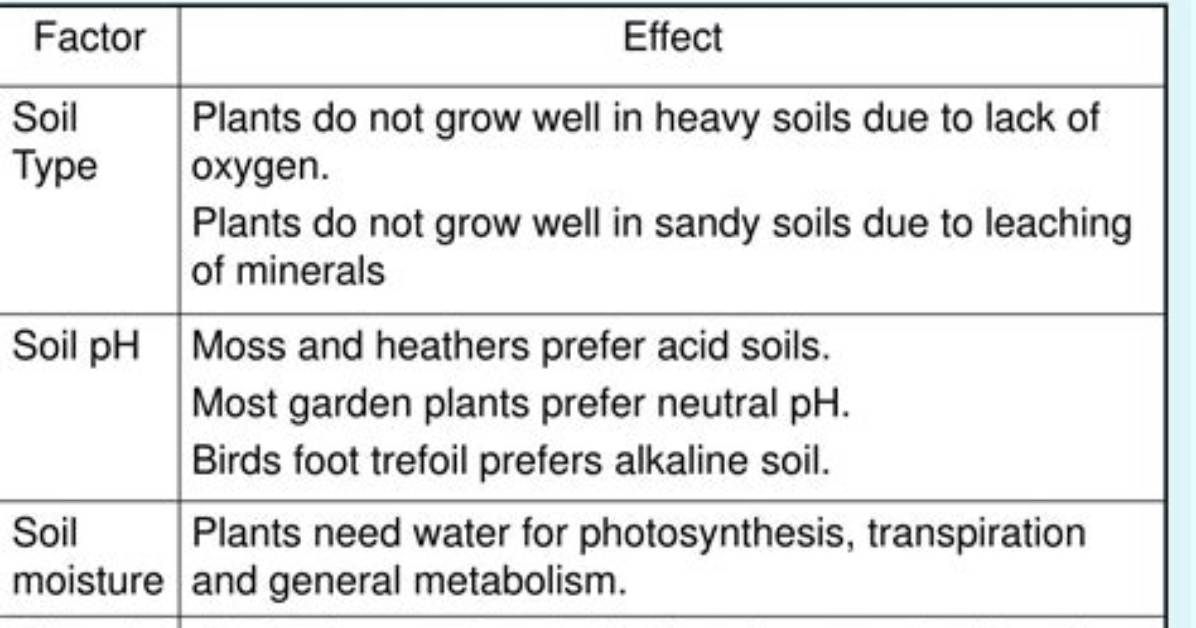 How Do Edaphic Factors Affect an Ecosystem
