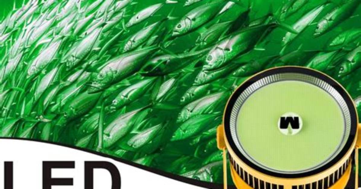 How Do Flashlights Attract Fish?