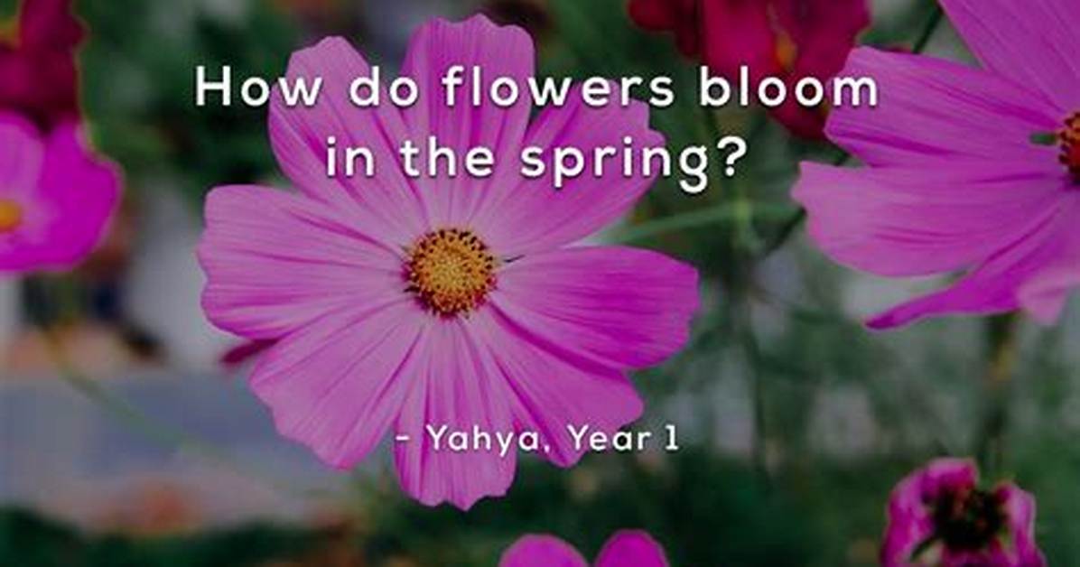 How Do Flowers Bloom in the Spring
