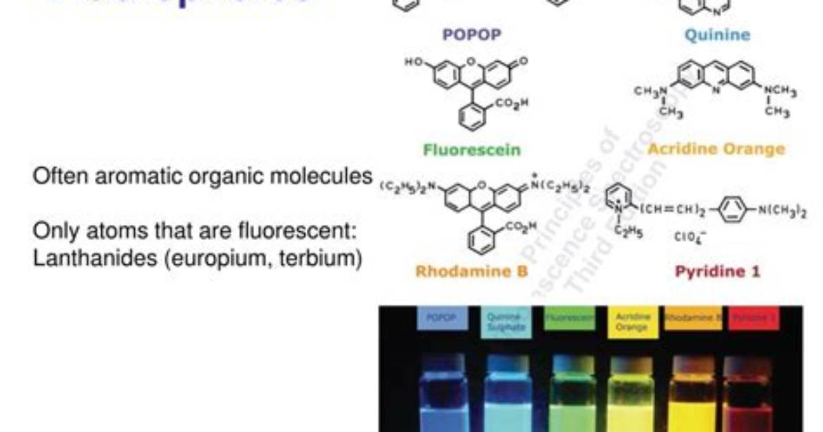 How Do Fluorophores Work